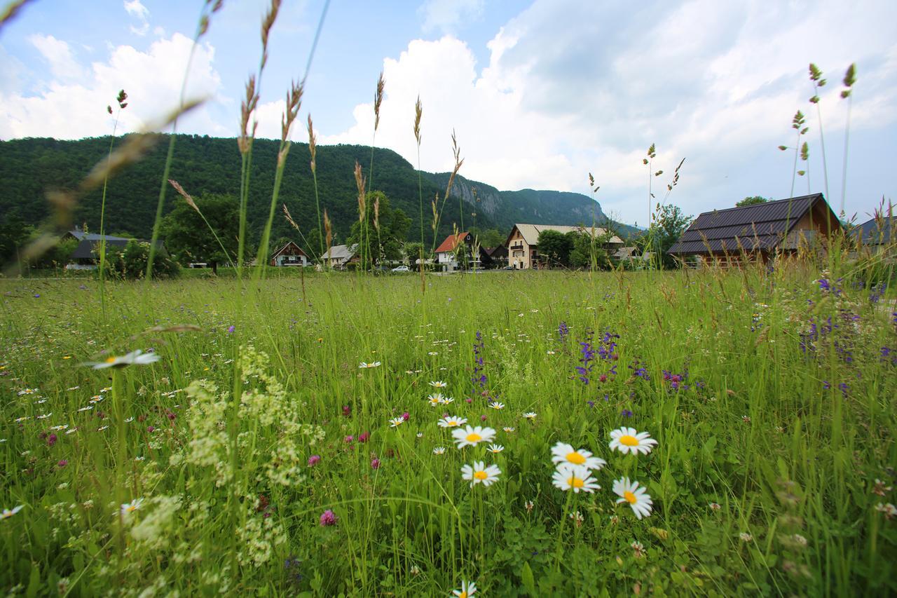 Hisa Pr'Pristavc Hotel Bohinj Bagian luar foto